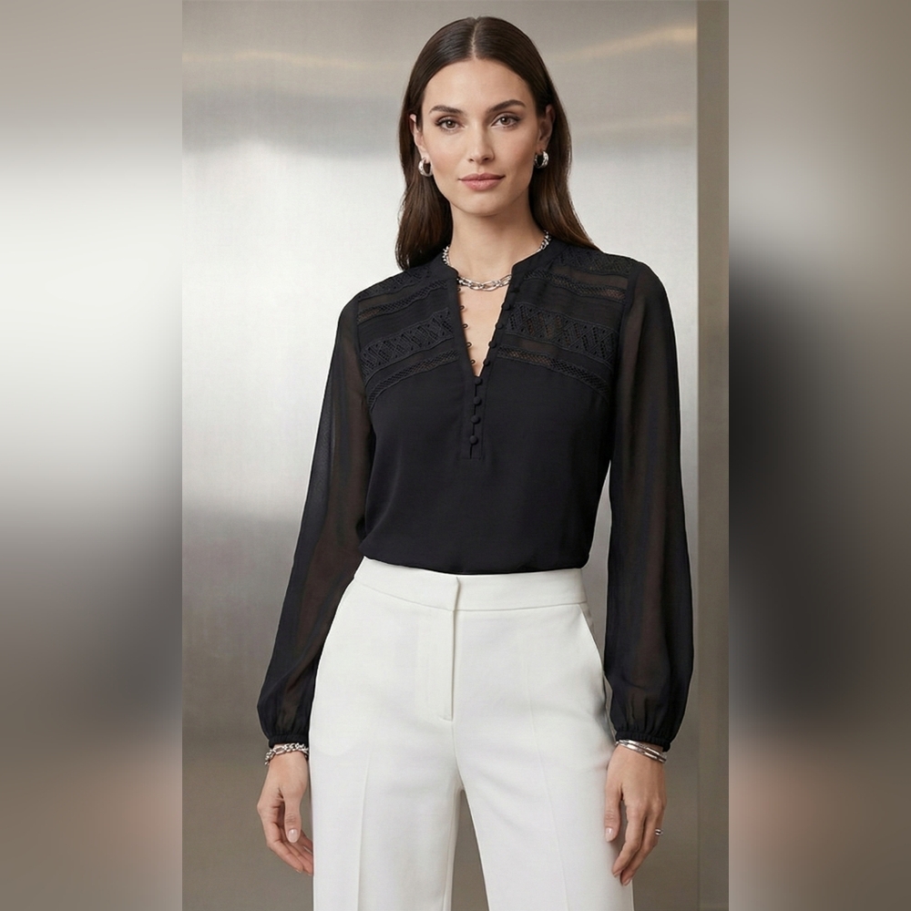WHITE HOUSE BLACK MARKET Womens TOP Sheer Long Sleeve Size Small Embroidered